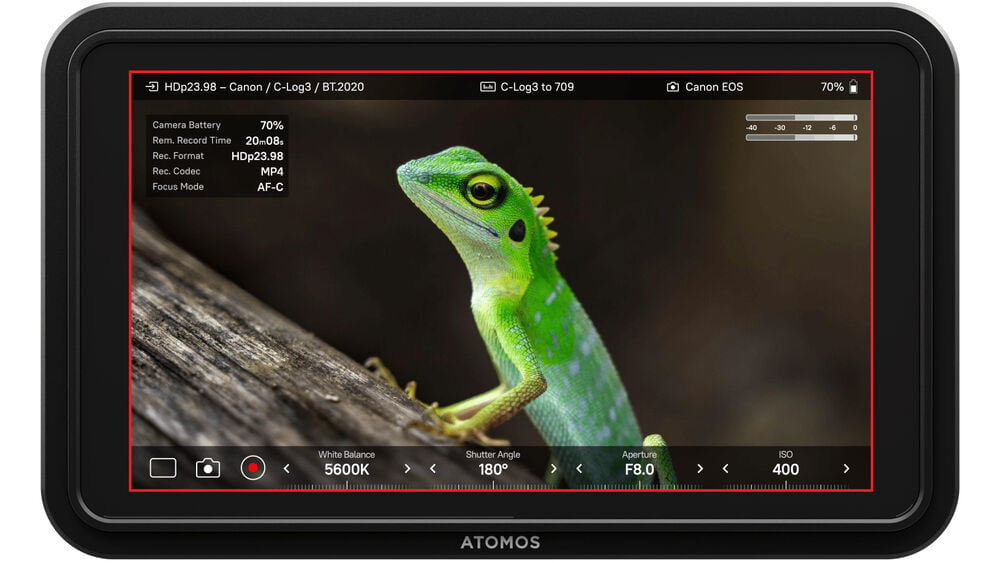 Trạng thái camera của màn hình Atomos Shinobi 5 inch II