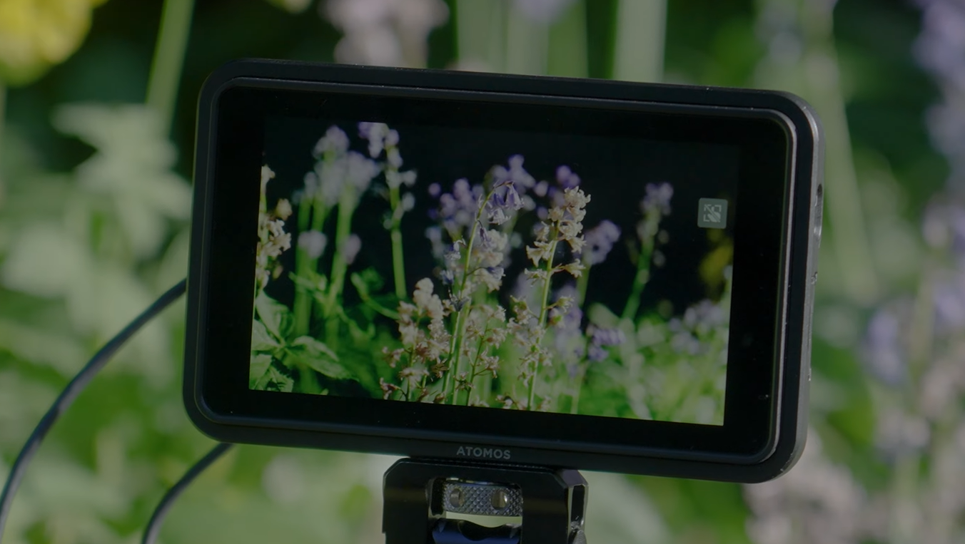 Atomos Shinobi II – màn hình phụ “nhỏ mà có võ”