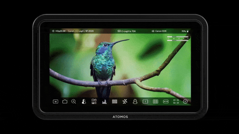 Atomos Shinobi II – màn hình phụ “nhỏ mà có võ”